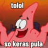 Meme patrick 20