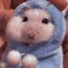 🐹 HAMSTERCITOS 🐹 14