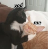 you me
