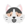 Pack de gatita graciosa 2 17