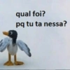 Pingu 12