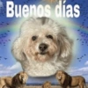 Buenos días Cobenticiones diariass