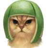✨️ Modo Gato 🐈🐱🐈‍⬛ 17