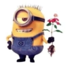 Minions 23