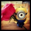 Minions 17