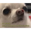 Memes aleatorio 10