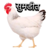 Marathi Meme 15