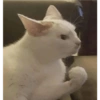 Tierno bebé 30