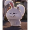 Snowball Rabbit 2 14