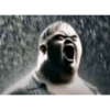 Shitpost  9