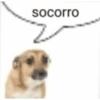 SHITPOST BOM DEMAIS 9