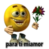 Bola Amarilla 🟡 25