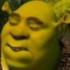 Estilo Sherk💚 6