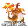 Pokémon Charizard 6