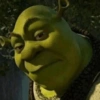Estilo Sherk💚 7