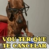 CACHORROS ENGRAÇADINHOS 🐶 13