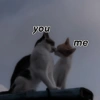 you me