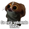 Indirectas bien directas 16
