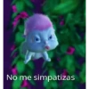 Bibble Frasesitas 16