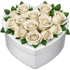 IPhone emoji Primavera2 🌸🩷🌸 5