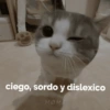 ciego, sordo y dislexico MOME