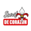 Scouts A.C.E. 17