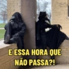Bom dia, boa tarde e boa noite 8