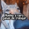 MAI oh bea WLOGH Hueles a cero ganas de trabajar