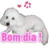 Pacote sete 7 13
