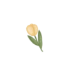 Nature Soft 25