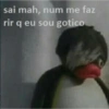Pingu 10