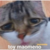 😂En Mo2 Memes🤣 13