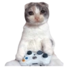Gatos sad 2 26