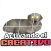 Perritos 18