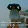 Pingu 14