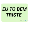 MENSAGENS DO ZAP 😼 11