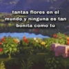❤️┛Amor de Minecraft ┛❤️👾⛏️ 13