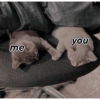 you me