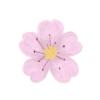 Nature Soft 21
