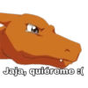 Pokémon Charizard 7