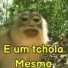 Macaco / monkey 4