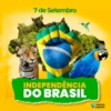 7 de Setembro ORDEM E PROGRESSO INDEPENDÊNCIA DO BRASIL VINICIUS CARDOSO