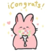 Spidi the bunny 6