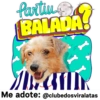 StickerAdoption  35