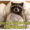 🐼🗑🦝 Raccoons l 🦝 🗑 🐼  12
