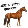 Marathi 17