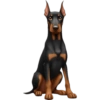 IPhone emoji animals 3 22