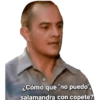 ¿Cómo que "no puedo", salamandra con copete?