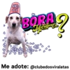 StickerAdoption  14