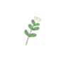 Nature Soft 16